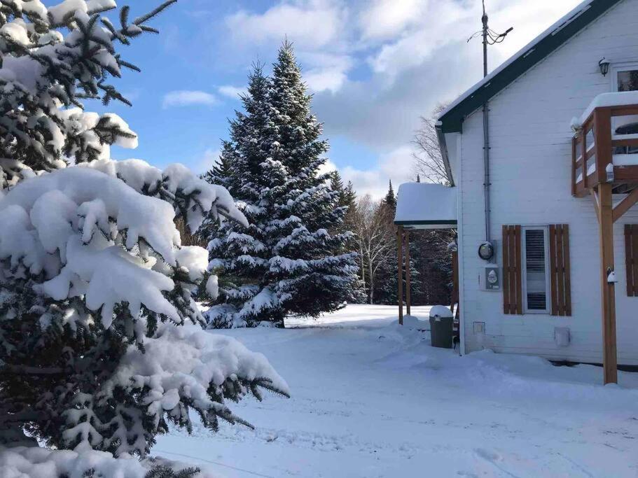 Le Jazz- Chalet Rustique/Chic Avec Spa Notre-Dame-Des-Bois Exteriér fotografie